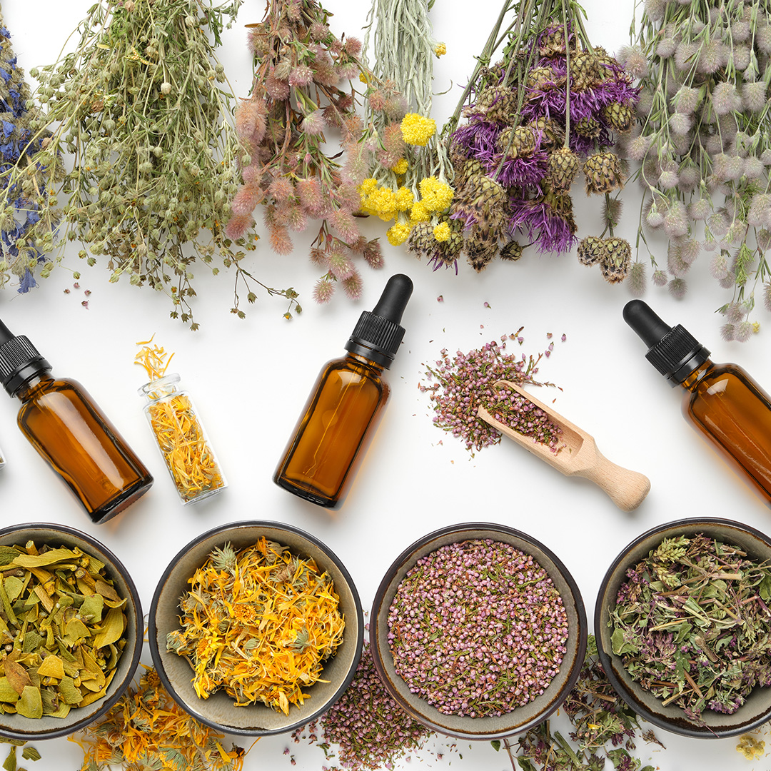 Herbal Medicine and Phytotherapy - Testament Health and Wellness (featured) Naturopathy