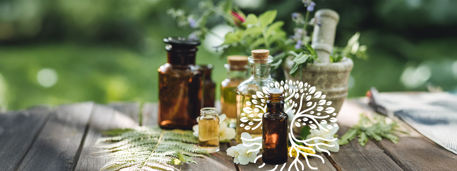 Naturopathy & Nutritional Therapy, Phytotherapy, Micro–Immunotherapy, Functional Testing & Phlebotomy, IV & IM Nutrient Therapy