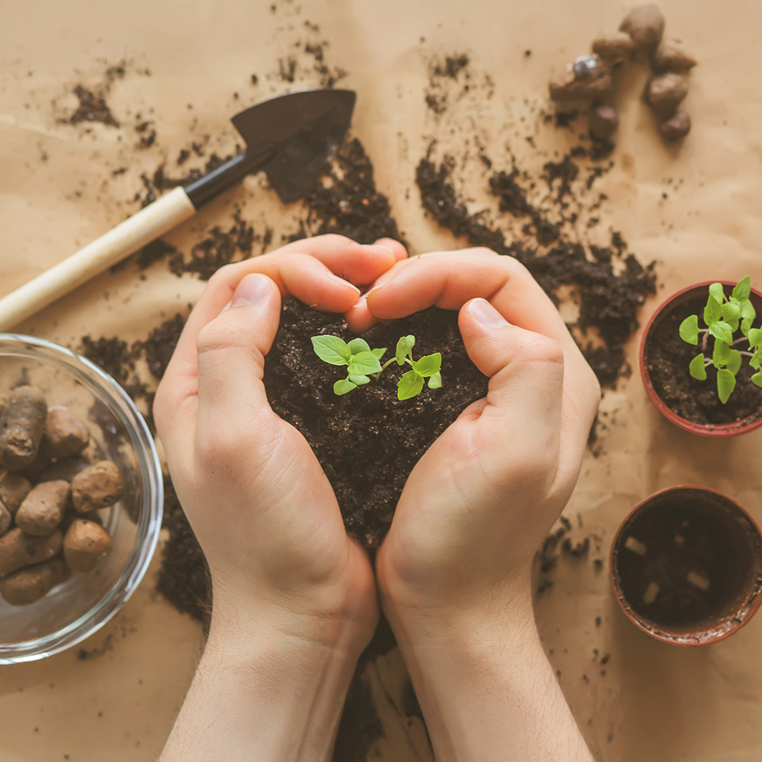 Naturopathy & Nutritional Therapy (stakes 1)